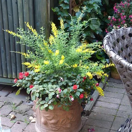 Gasthof Am Hehlentor 3*