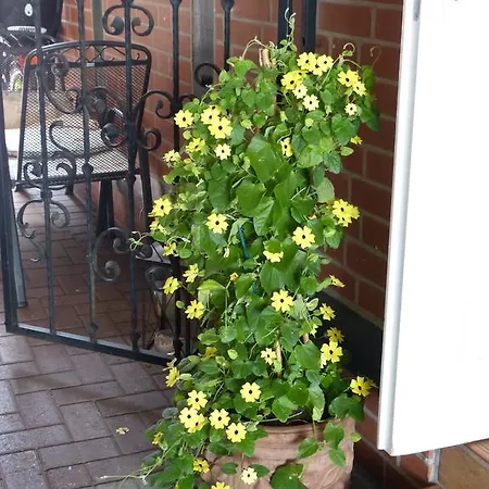 Am Hehlentor 3* Celle